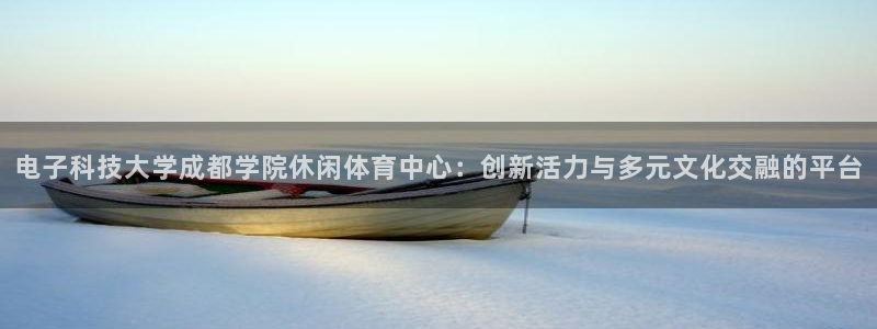 电子科技大学成都学院休闲体育中心：创新活力与多元文化交融的平台