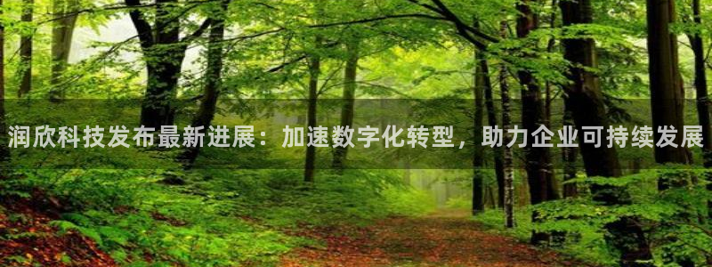 润欣科技发布最新进展：加速数字化转型，助力企业可持续发展