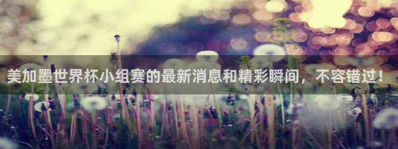 美加墨世界杯小组赛的最新消息和精彩瞬间，不容错过！