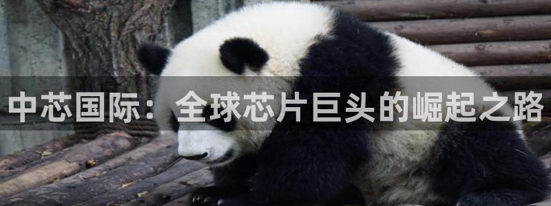中芯国际：全球芯片巨头的崛起之路