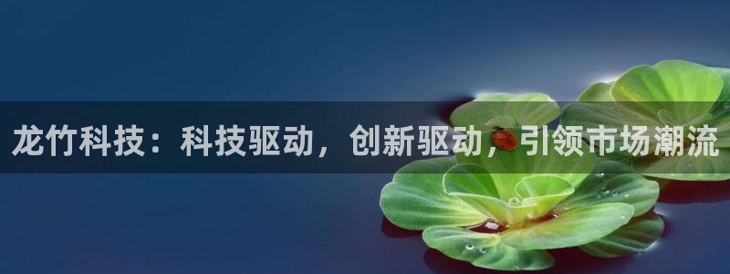龙竹科技：科技驱动，创新驱动，引领市场潮流
